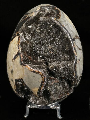 Septarian Dragon Egg Geode - Black Crystals #57455